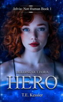 Holding out for a Hero