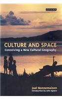 Culture and Space