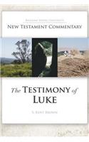 Testimony of Luke