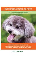 Schnoodle Dogs as Pets