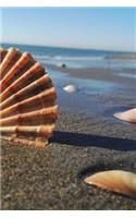 Beach Shells Notebook: 150 lined pages, glossy softcover, 6 x 9