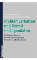 Problemverhalten Und Gewalt Im Jugendalter