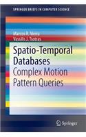 Spatio-Temporal Databases: Complex Motion Pattern Queries