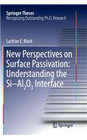New Perspectives on Surface Passivation: Understanding the Si-Al2O3 Interface