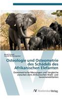Osteologie und Osteometrie des Schädels des Afrikanischen Elefanten
