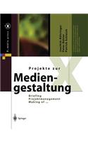 Projekte Zur Mediengestaltung: Briefing, Projektmanagement, Making of ...