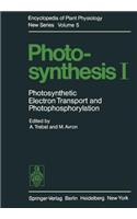 Photosynthesis I