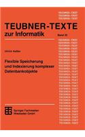 Flexible Speicherung Und Indexierung Komplexer Datenbankobjekte