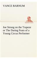 Joe Strong on the Trapeze or The Daring Feats of a Young Circus Performer