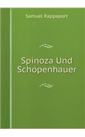 Spinoza Und Schopenhauer