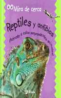 Reptiles Y Anfibios/reptiles And Amphibians