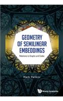 Geometry Of Semilinear Embeddings: Relations To Graphs And Codes