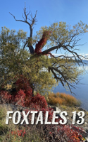 Foxtales 13