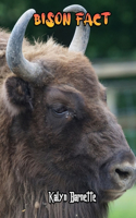 Bison Fact: Bison fact for girl age 1-10 Bison fact for boy age 1-10 bison habitat