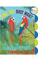 Busy Day, Busy Night: Rain Forest