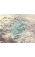 David T. Hanson: Waste Land