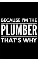 Because I'm the Plumber that's why