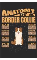 Anatomy Of A Border Collie: Anatomy Of A Border Collie Notebook Journal 6x9 Personalized Customized Gift For Border Collie Mom Dad Lined Paper