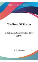 The Rose Of Sharon