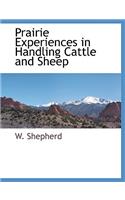 Prairie Experiences in Handling Cattle and Sheep