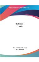 Echinus (1900)