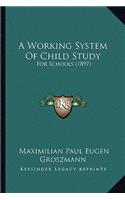 Working System of Child Study