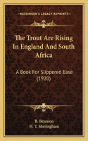 The Trout Are Rising In England And South Africa