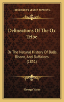 Delineations Of The Ox Tribe