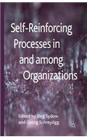 Self-Reinforcing Processes in and Among Organizations