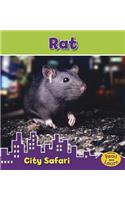 Rat: (City Safari)