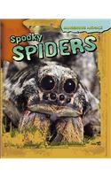 Spooky Spiders