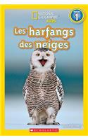 National Geographic Kids: Les Harfangs Des Neiges (Niveau 1)