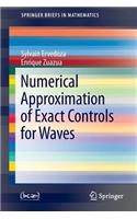 Numerical Approximation of Exact Controls for Waves: (SpringerBriefs in Mathematics)