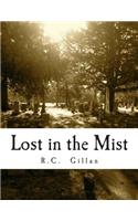 Lost in the Mist