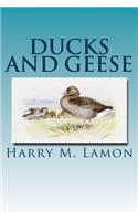 Ducks and Geese