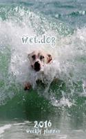 The Wet Dog