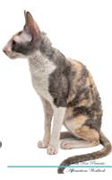 Cornish Rex Affirmations Workbook Cornish Rex Presents