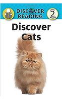 Discover Cats