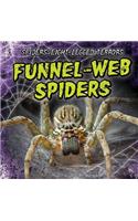 Funnel-Web Spiders