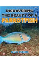 DISCOVERING THE BEAUTY OF A PARROTFISH Do Your Kids Know This?: A Children's Picture Book(Amazing Creature)