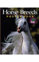 Horse Breeds Poster Book