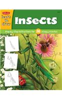 Learn to Draw Insects