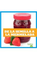 de la Semilla a la Mermelada (from Seed to Jam)