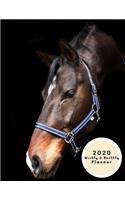 2020 Weekly And Monthly Planner: Two Year Horse Planner With Calendar Schedule Organizer January 2020 to December 2020 (12 Months)