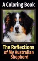 The Reflections of My Australian Shepherd