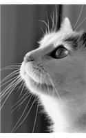 Cat Notebook