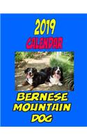 2019 Calendar Bernese Mountain Dog: Personal Contacts, password log, notes, to do list and more