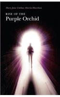 Rise of the Purple Orchid