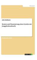 Kosten und Finanzierung eines Gestüts mit Jungpferdeaufzucht