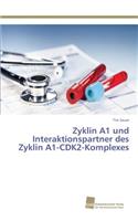 Zyklin A1 und Interaktionspartner des Zyklin A1-CDK2-Komplexes